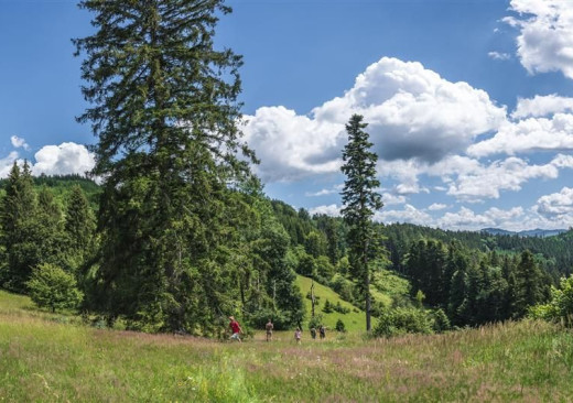 Přírodou UNESCO hřebenem Královce