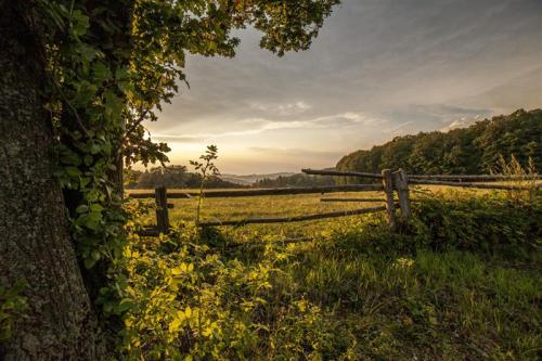 Pastviny u Petrůvky