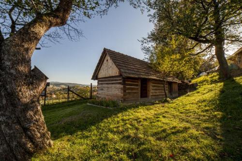 Sušírna svatého Františka