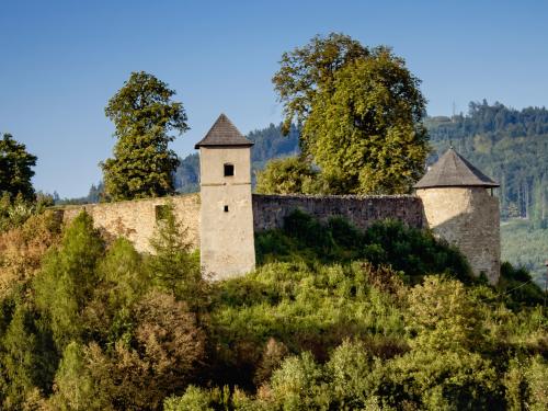 Brumovský hrad